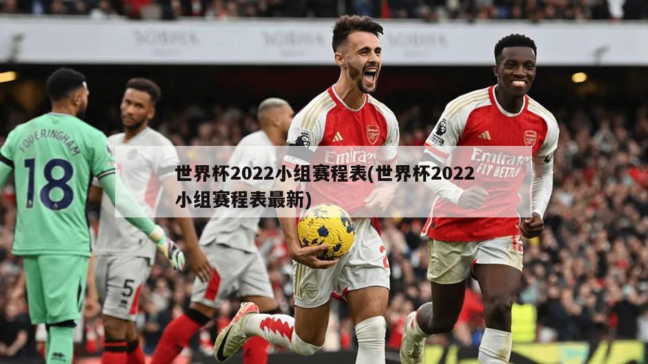 世界杯2022小组赛程表(世界杯2022小组赛程表最新)