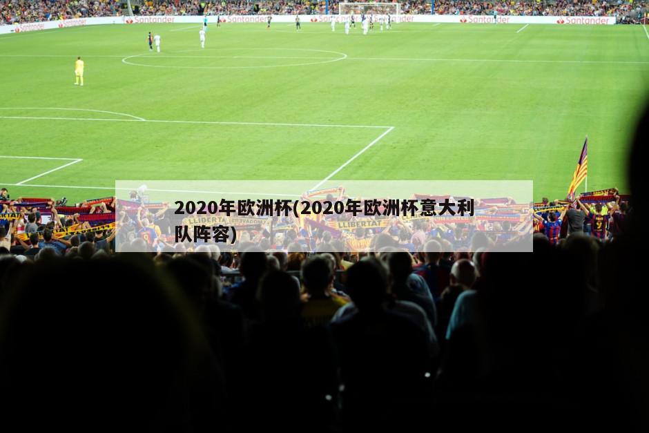 2020年欧洲杯(2020年欧洲杯意大利队阵容)