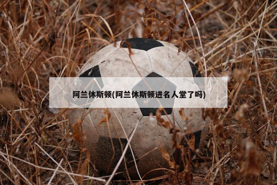 阿兰休斯顿(阿兰休斯顿进名人堂了吗)